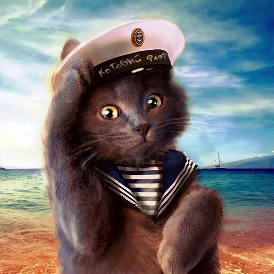 Кот матрос Мусоргский