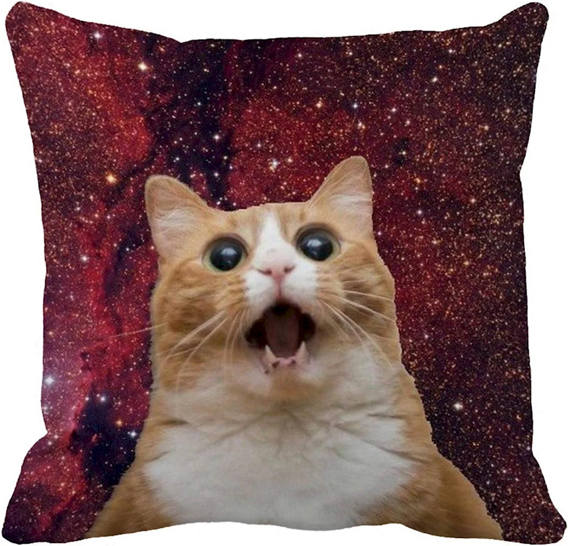 Кот Мем