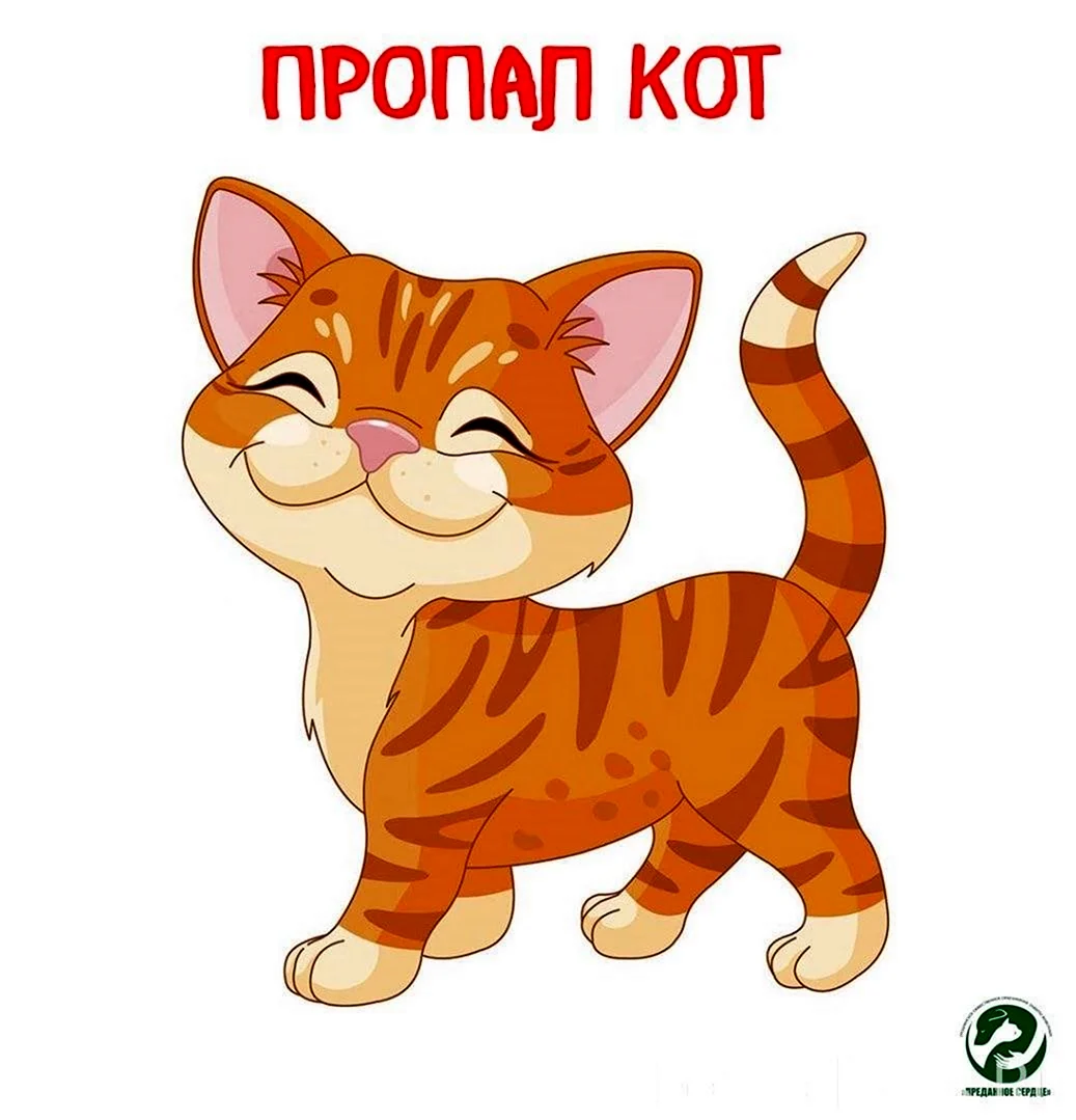 Кот на белом фоне мультяшный