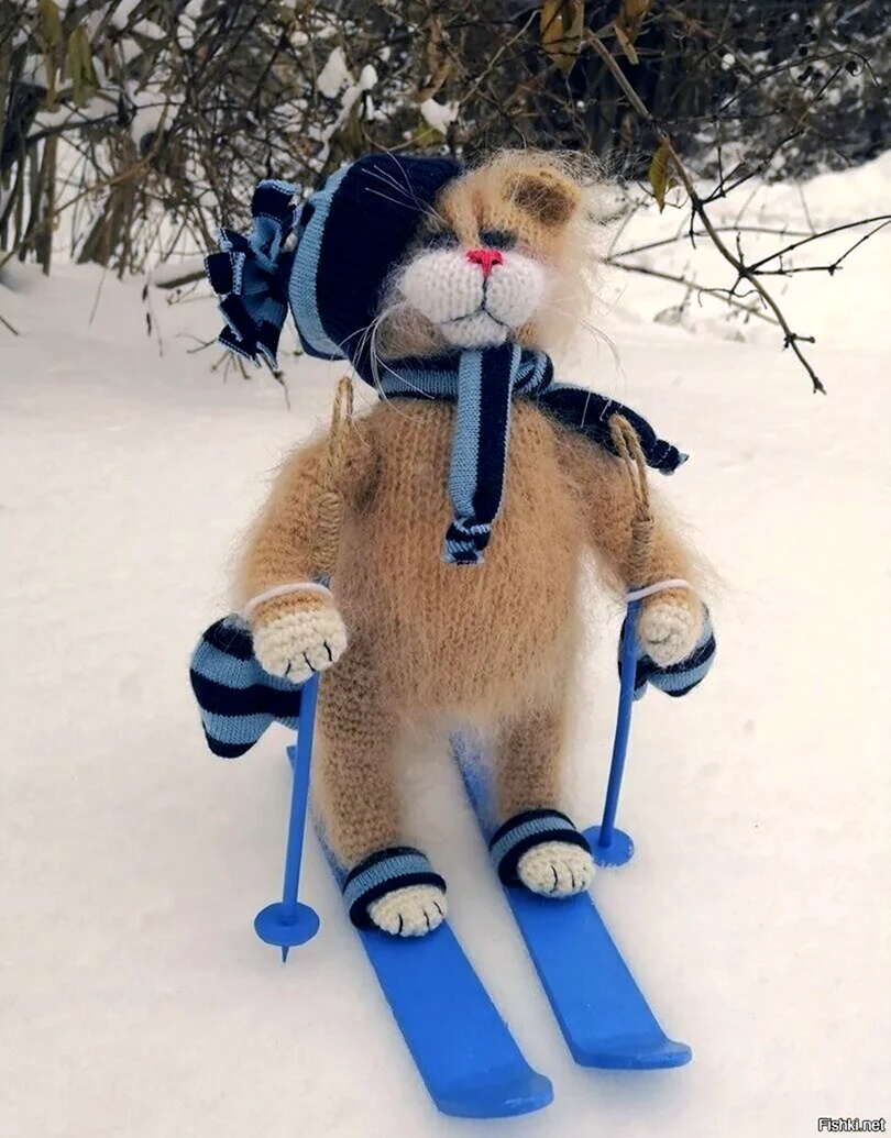 Кот на лыжах