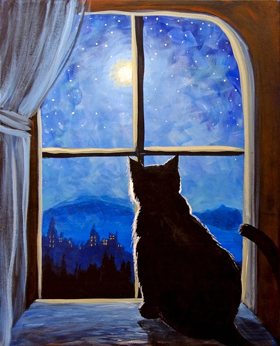 Кот на окне