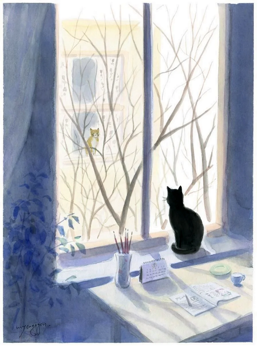 Кот на окне