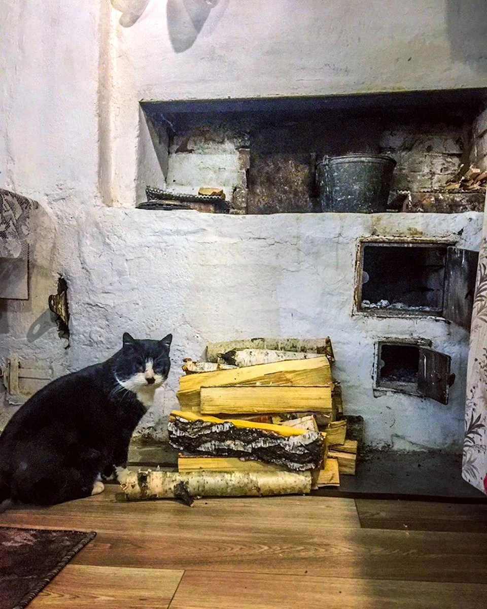 Кот на печке