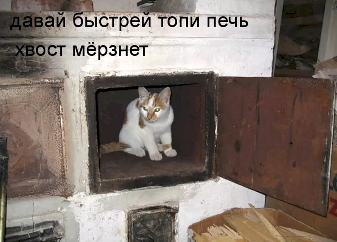 Кот на печке