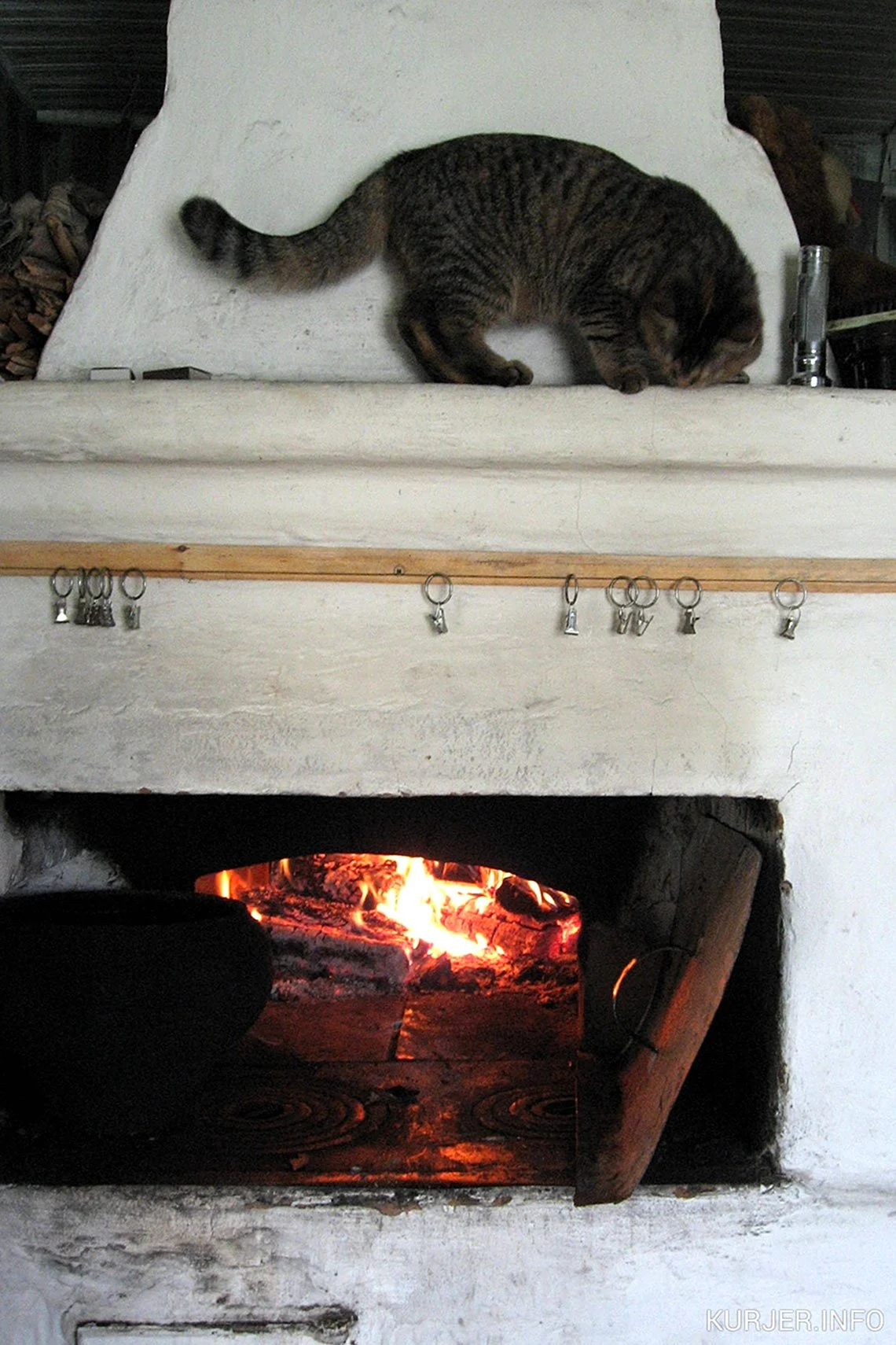 Кот на печке