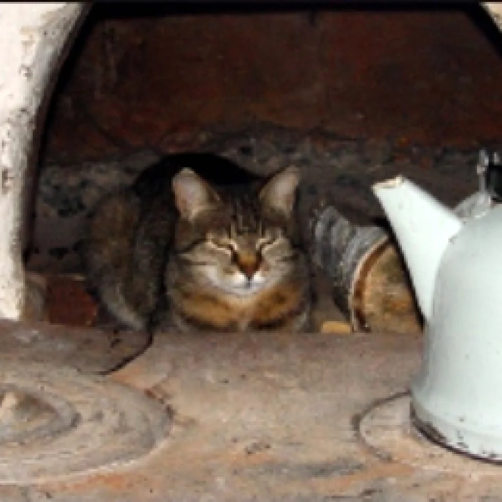 Кот на печке