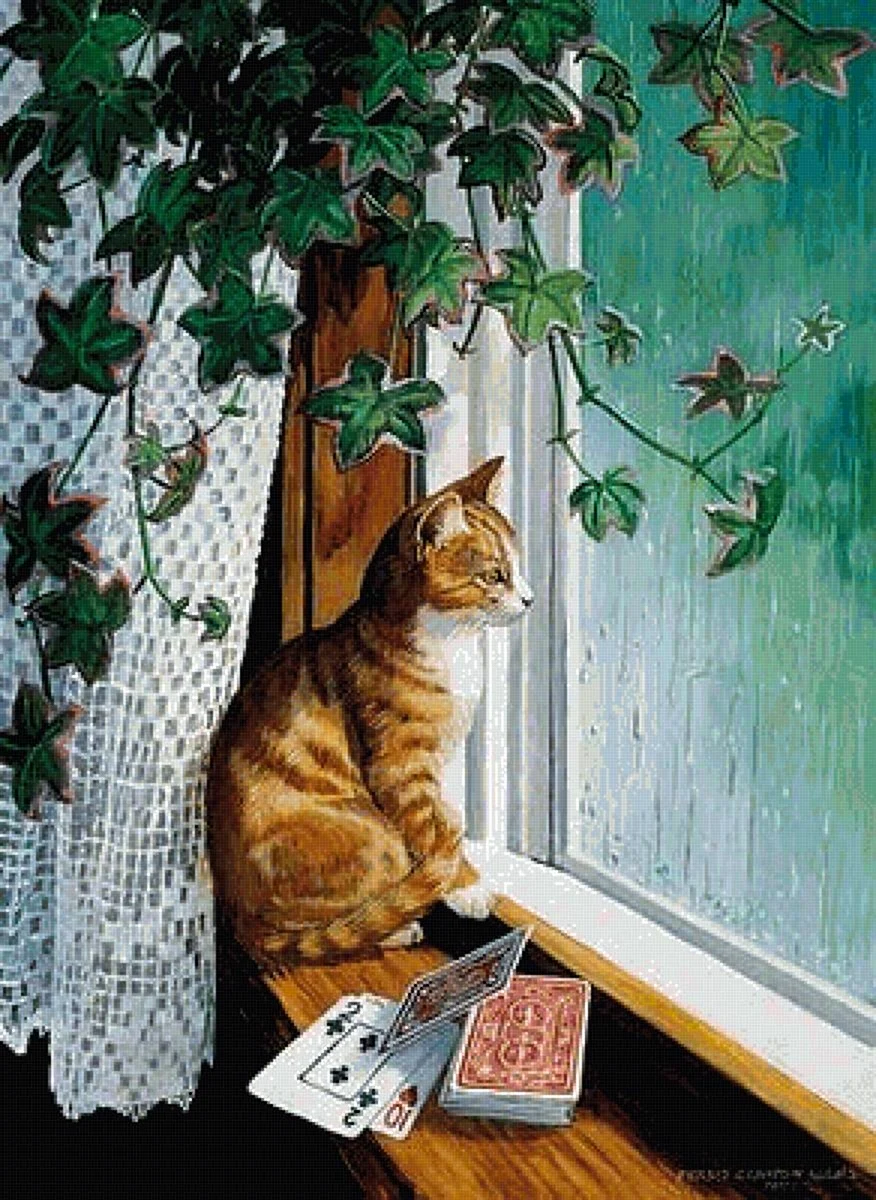 Кот на подоконнике