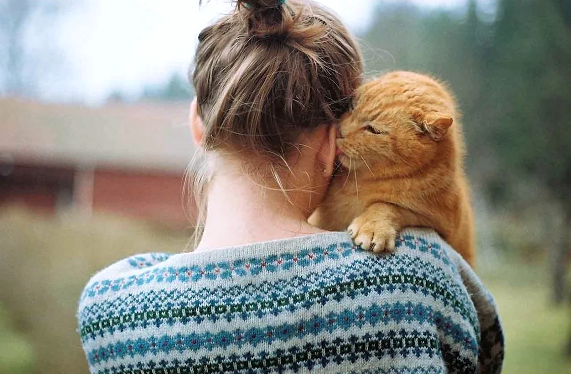 Кот обнимает