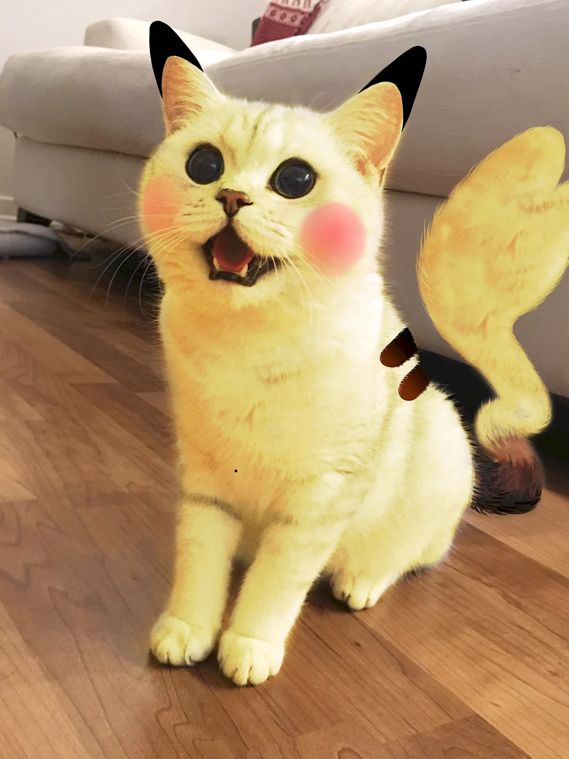 Кот Пикачу