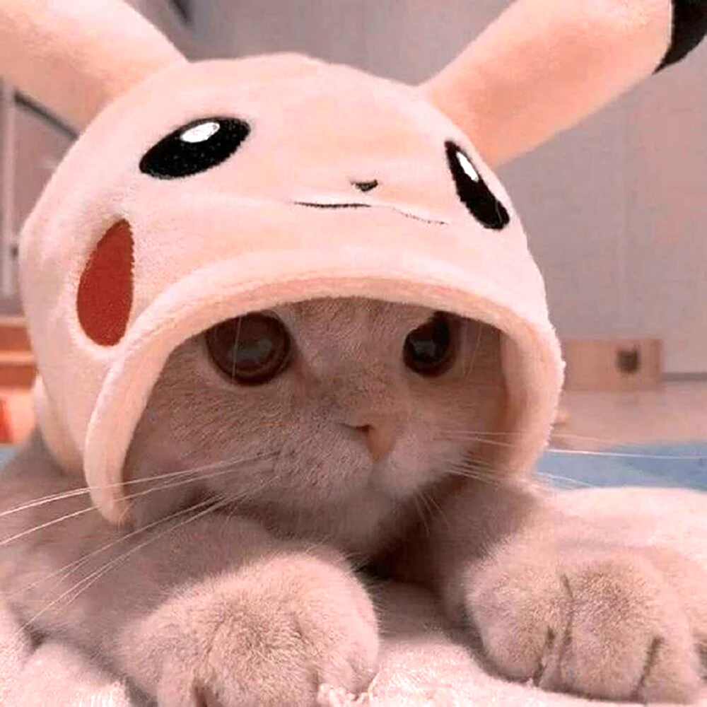 Кот Пикачу