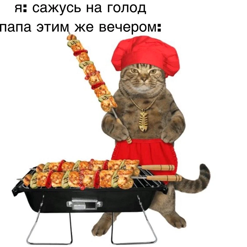 Кот повар