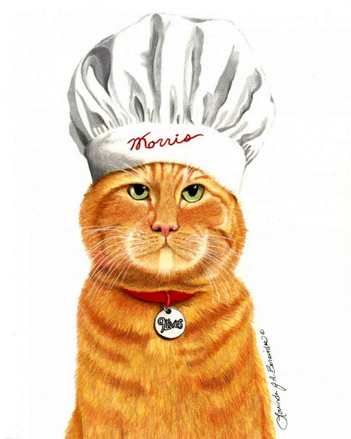 Кот повар