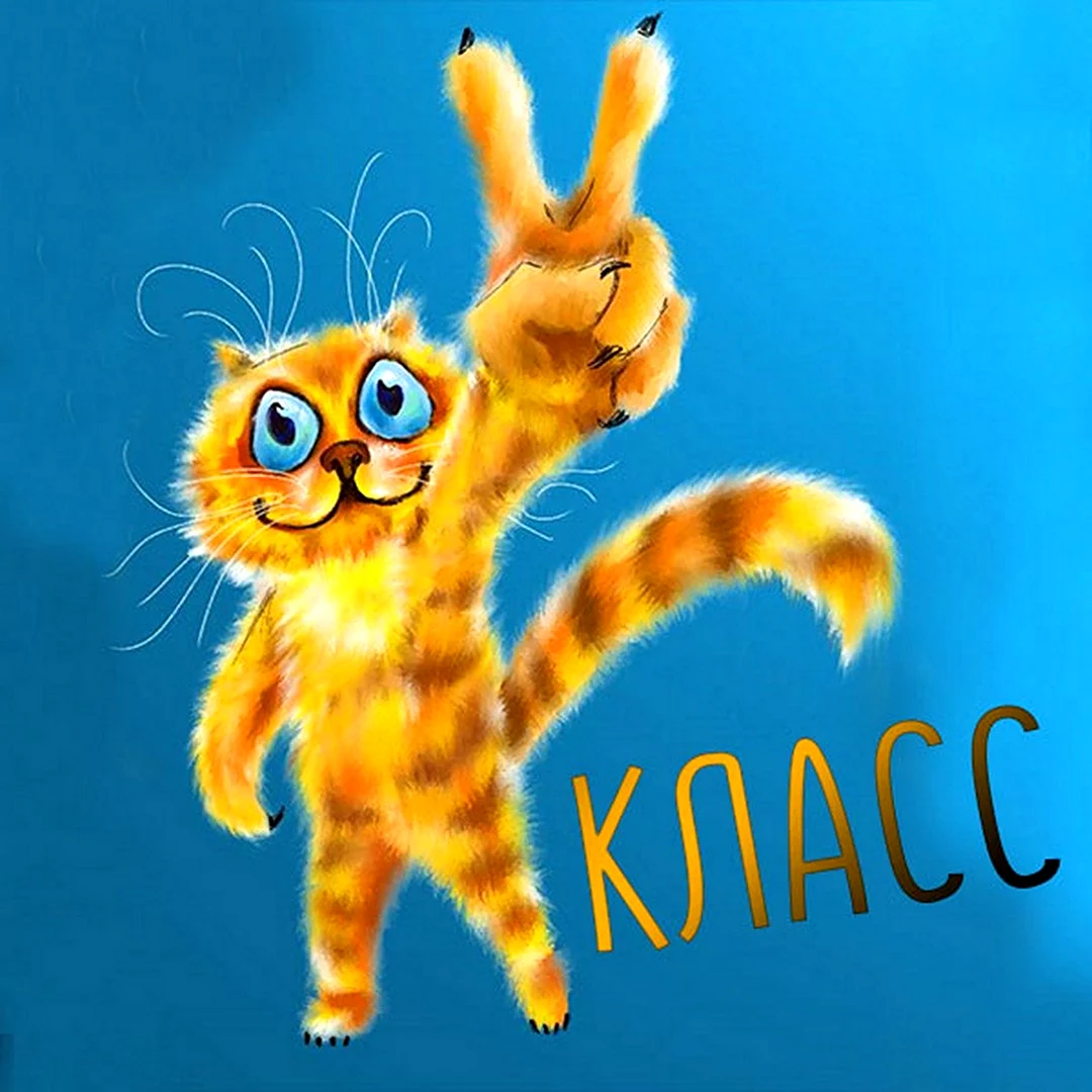 Кот радость