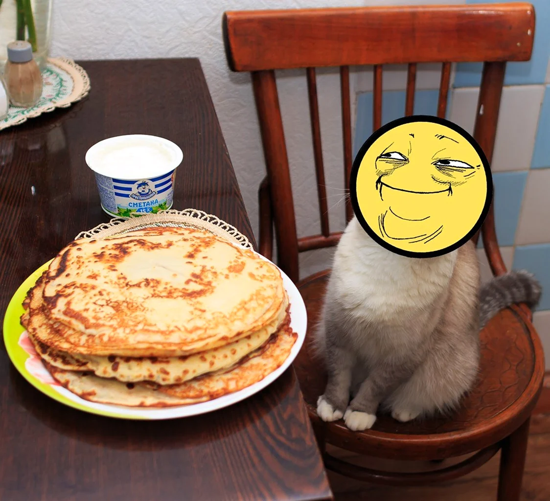 Кот с блинами