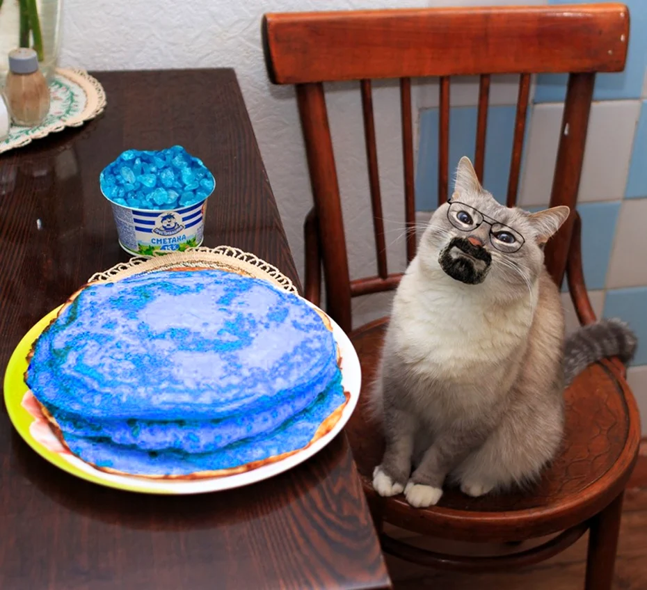 Кот с блинами