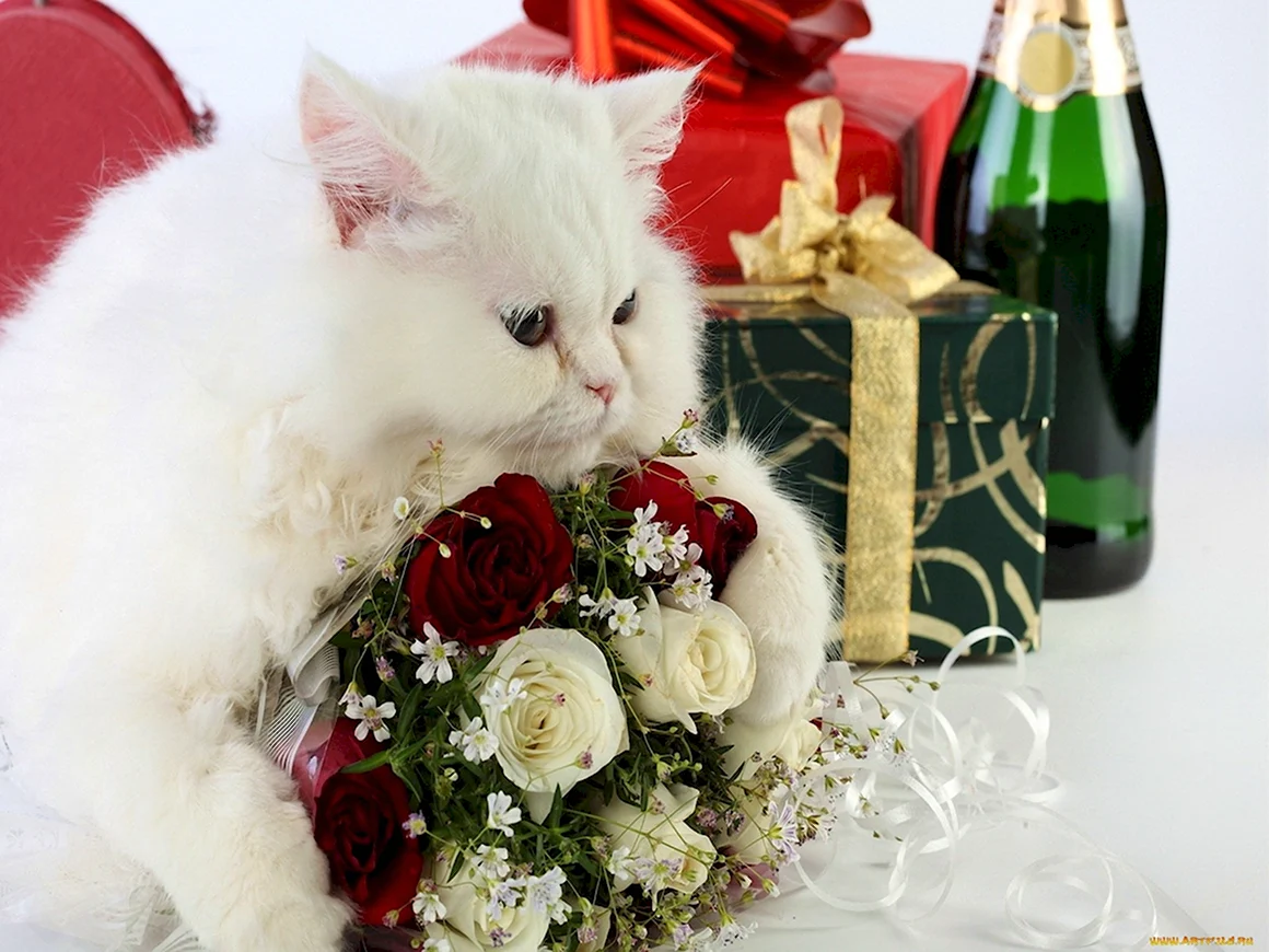 Кот с букетом