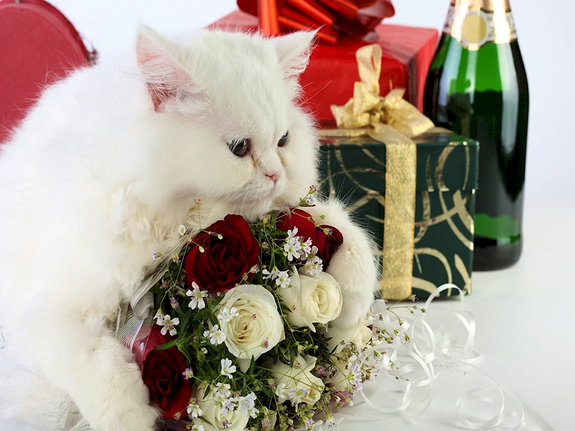 Кот с букетом