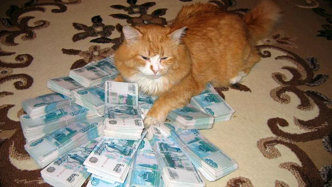 Кот с деньгами