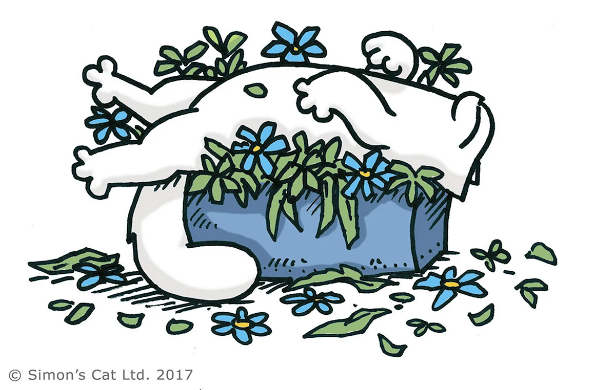 Кот Саймон Весна