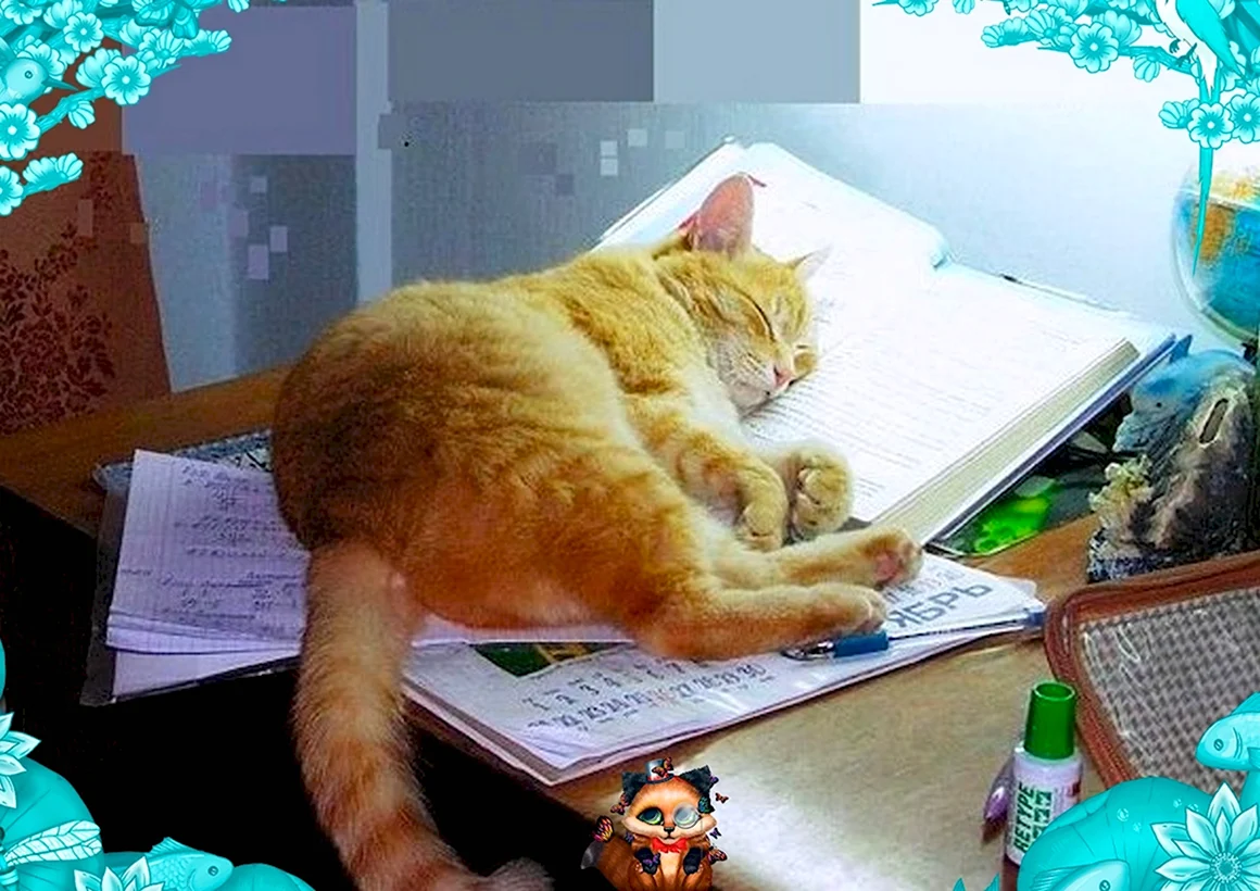 Кот учит уроки