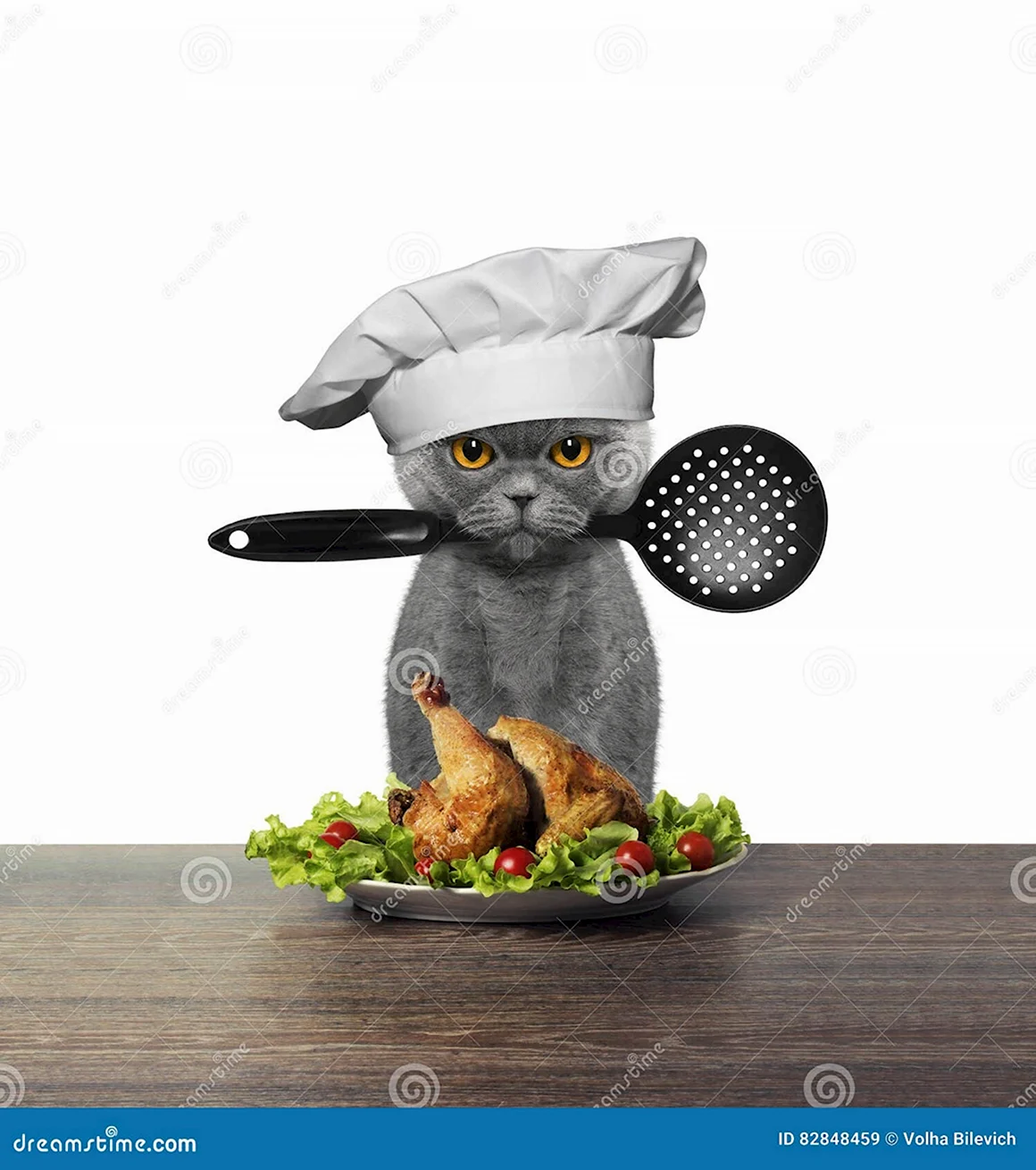 Кот в поварском колпаке