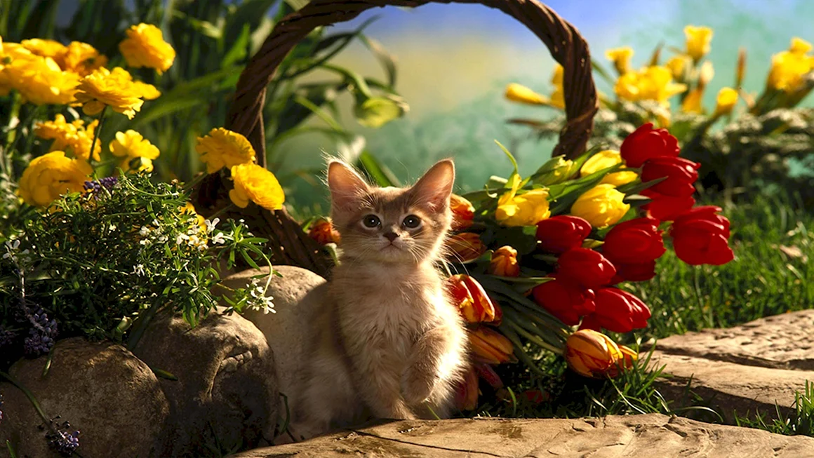 Кот в цветах