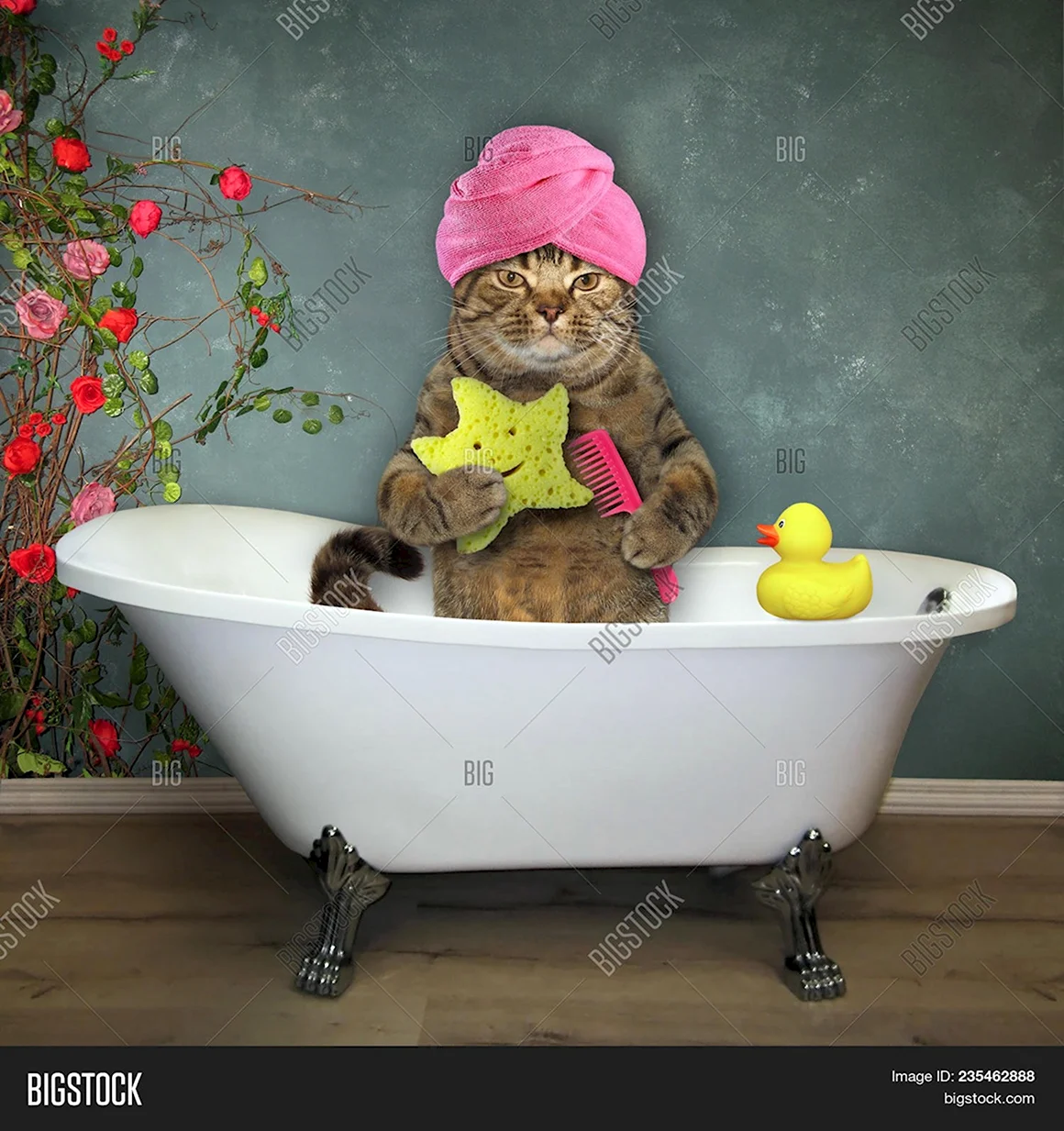 Кот в ванной
