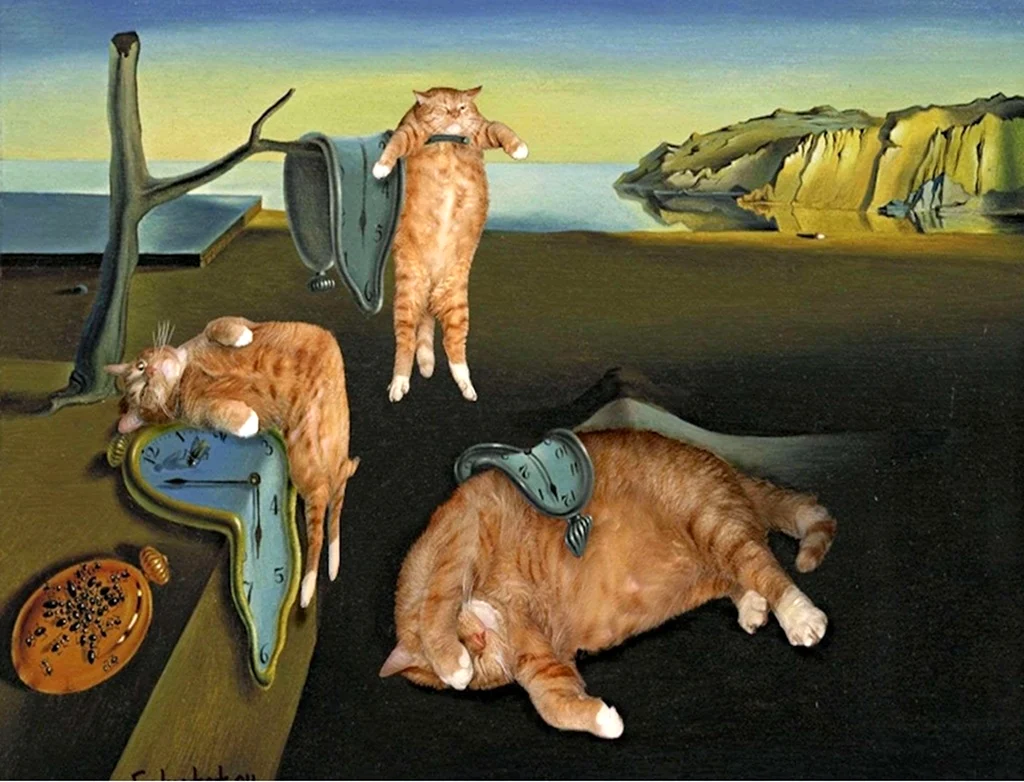 Кот Заратустра и Светлана Петрова