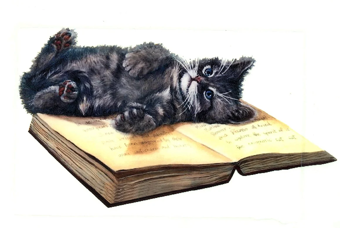 Котёнок с книжкой