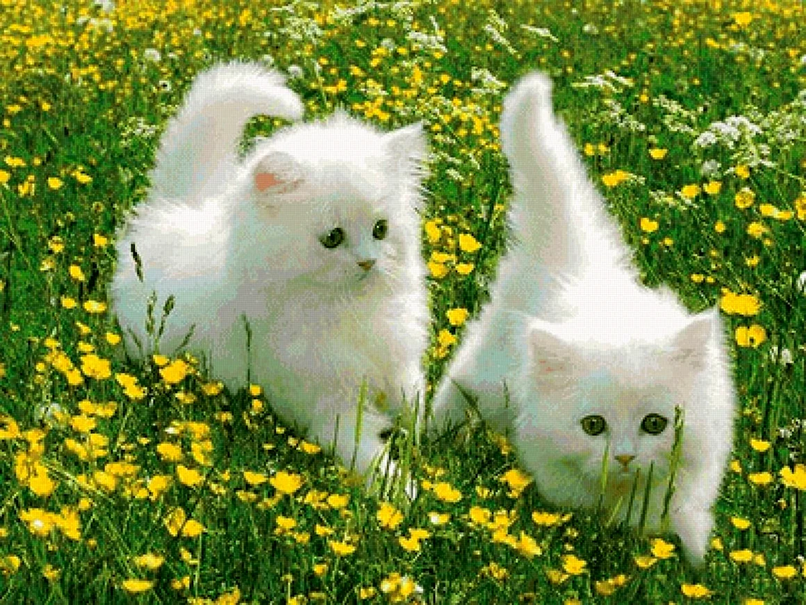 Котенок в одуванчиках