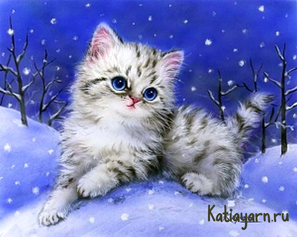 Котенок в снегу