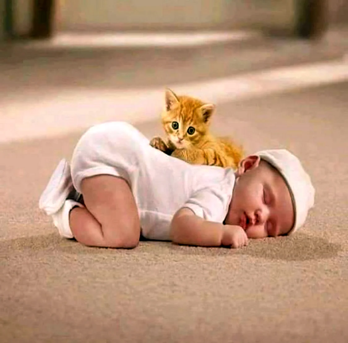 Котёнок-ребёнок