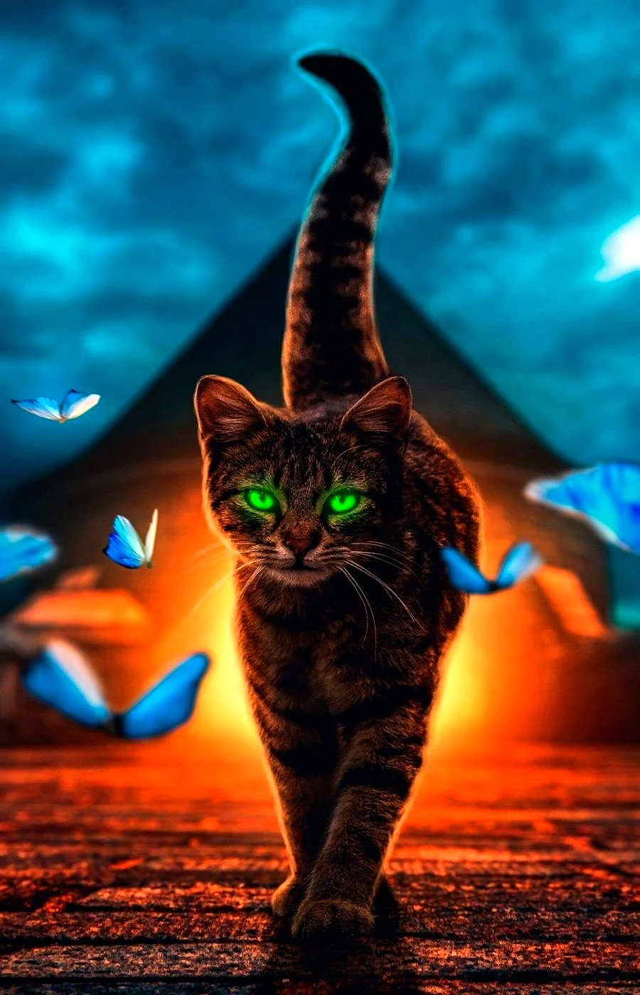 Котята на заставку