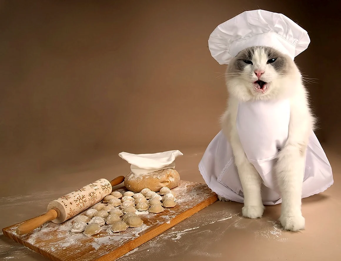 Котята поварята