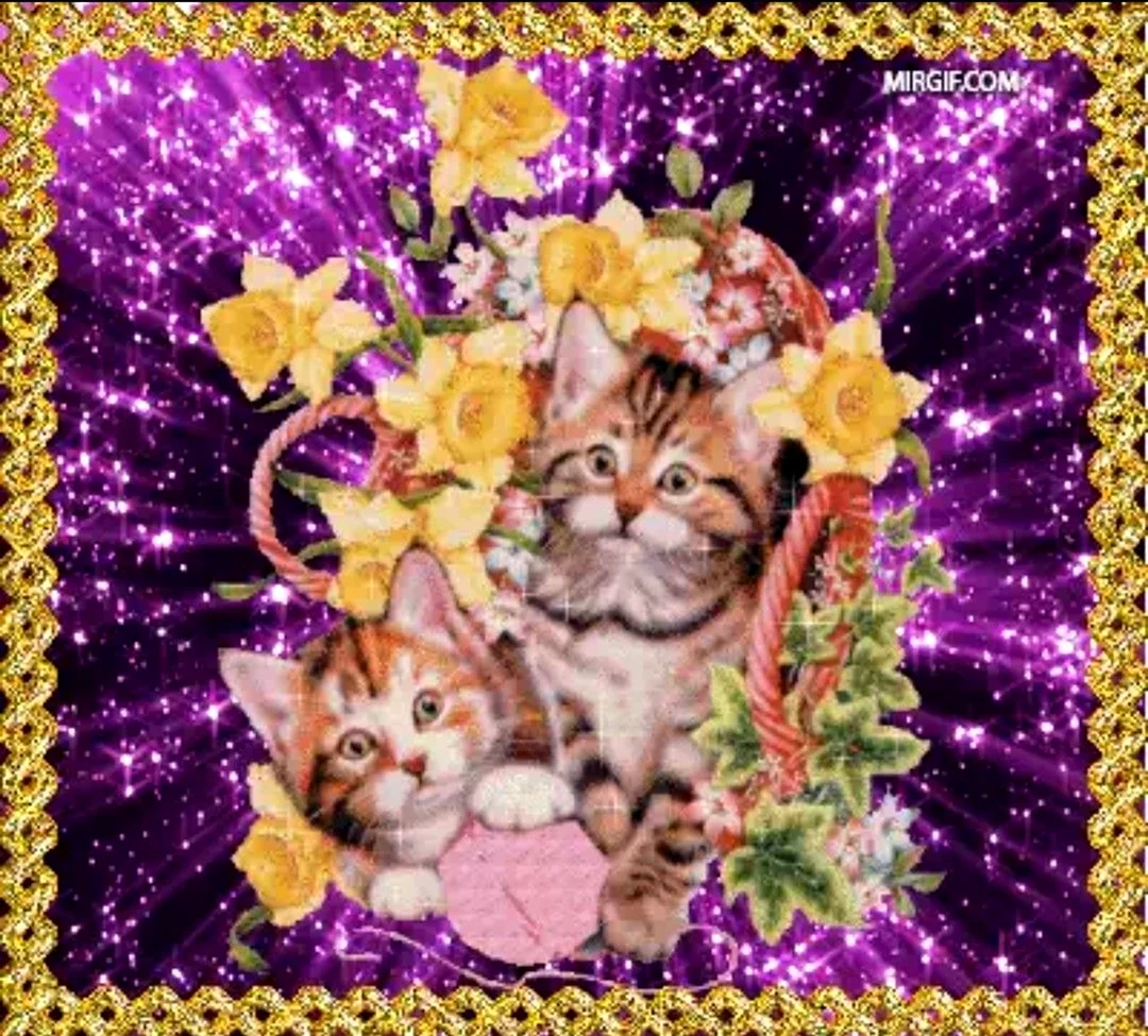 Котята с блёстками