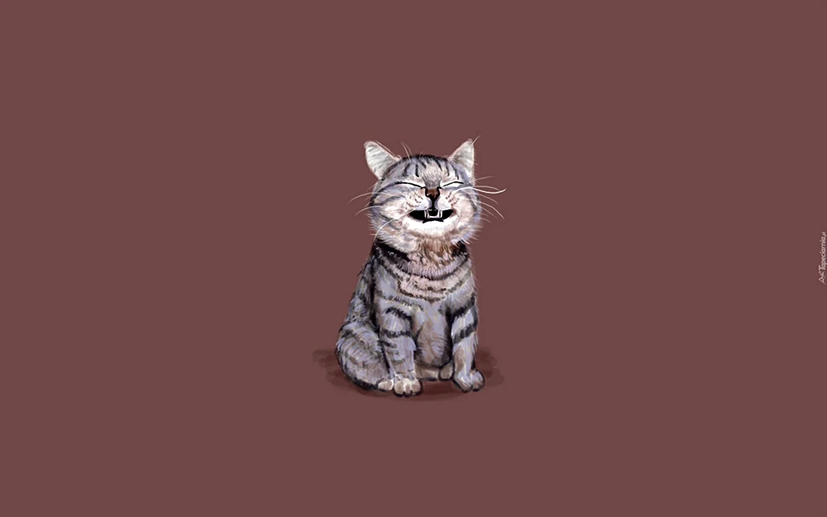 Котик Минимализм
