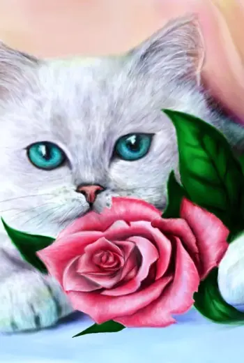 Котик с розой
