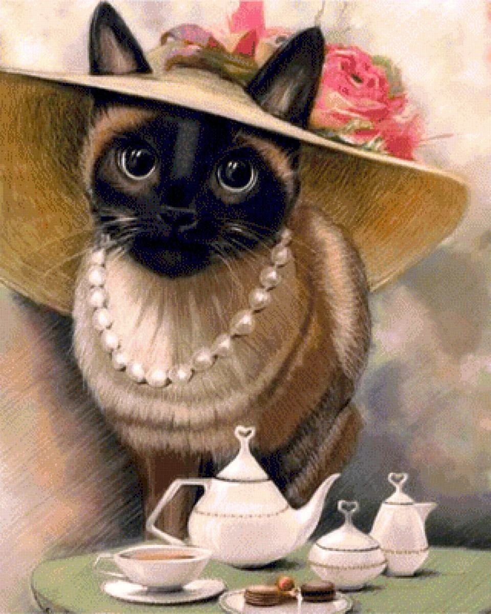Котик в шляпке