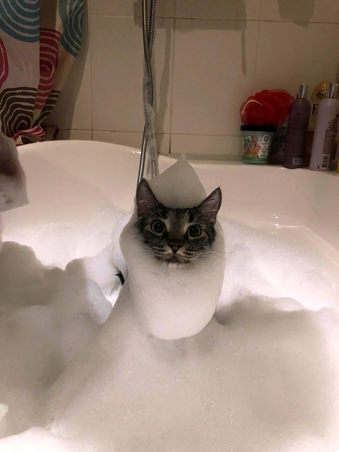 Котик в ванной