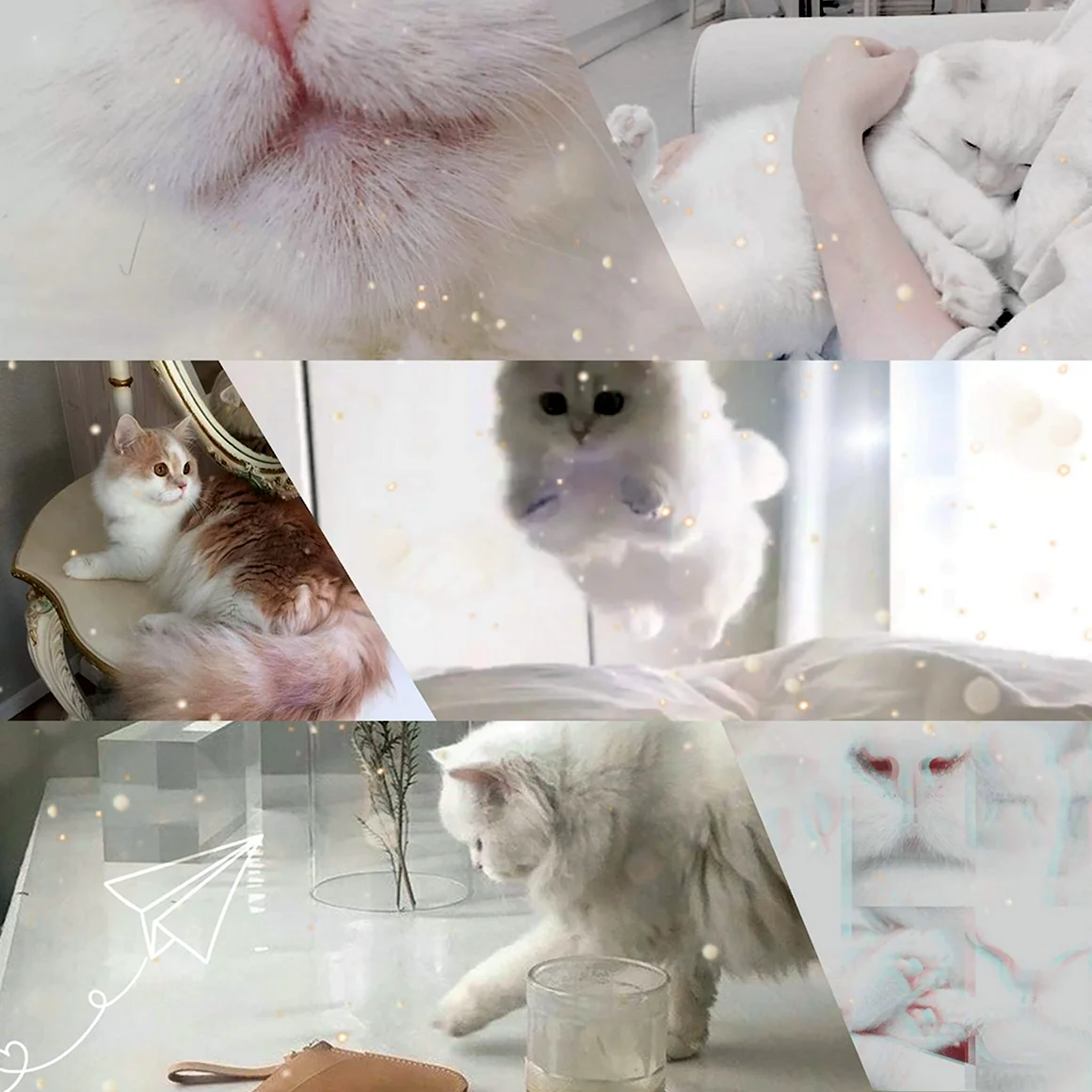Котики Эстетика