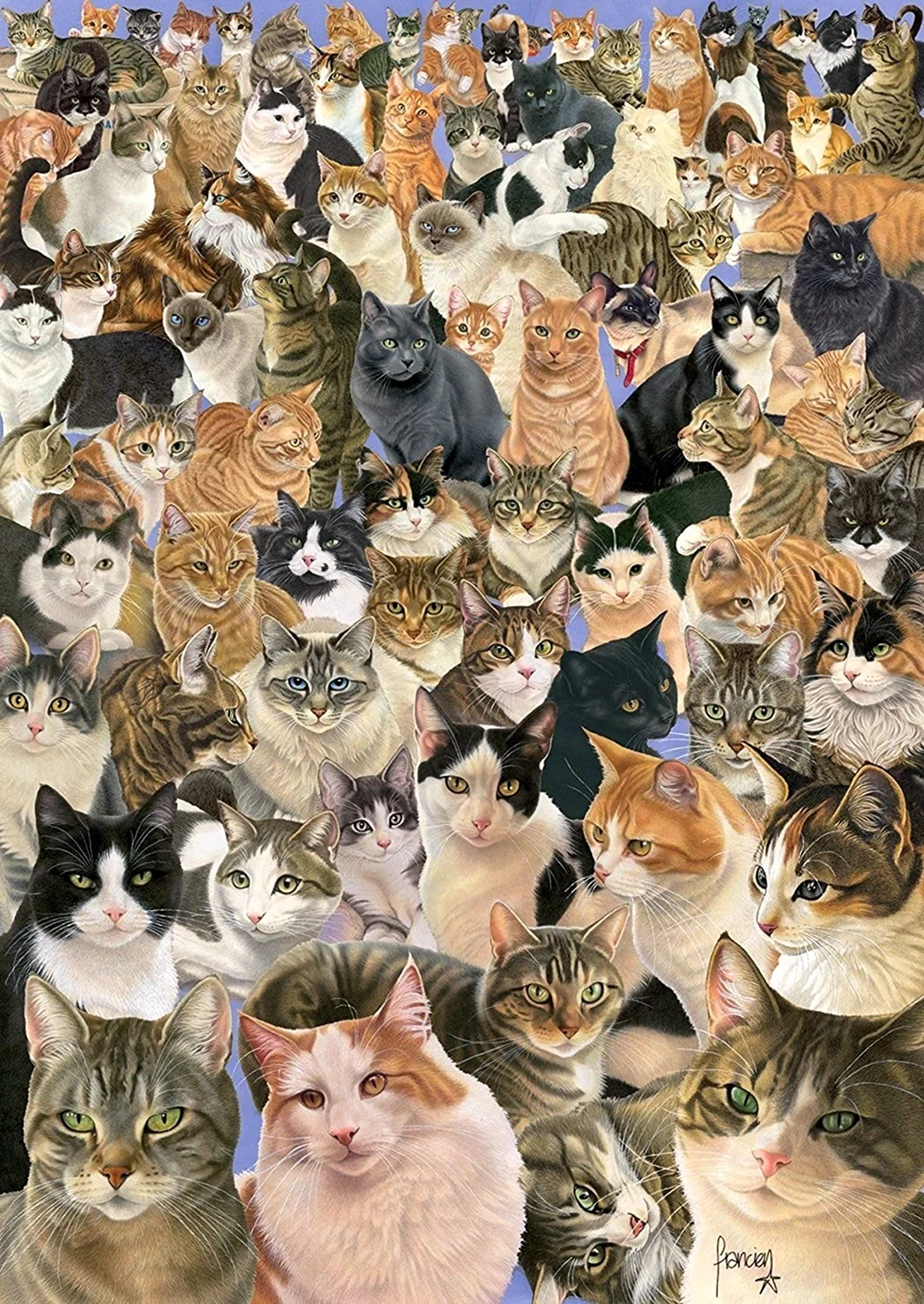 Котики много
