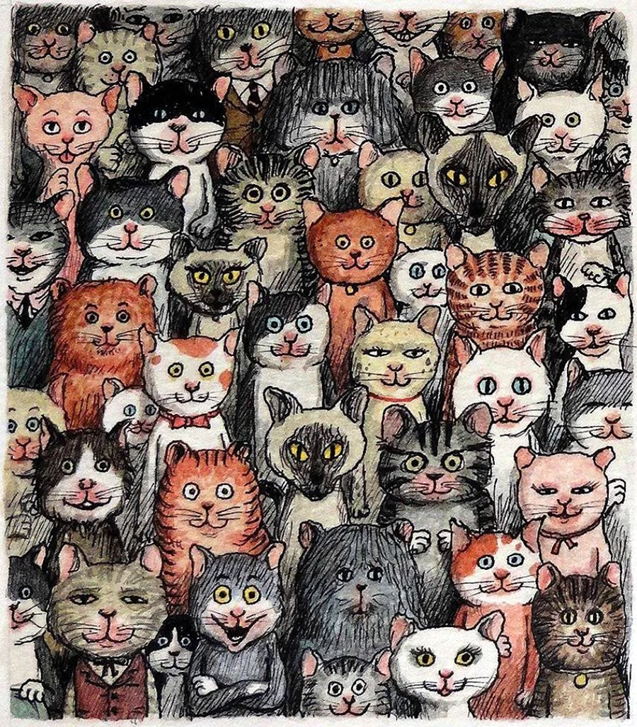 Котики много
