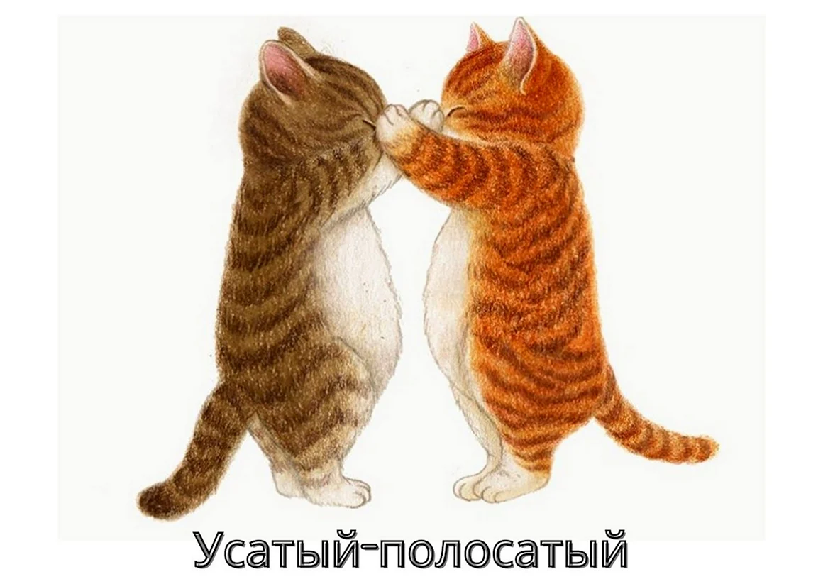 Котики обнимашки