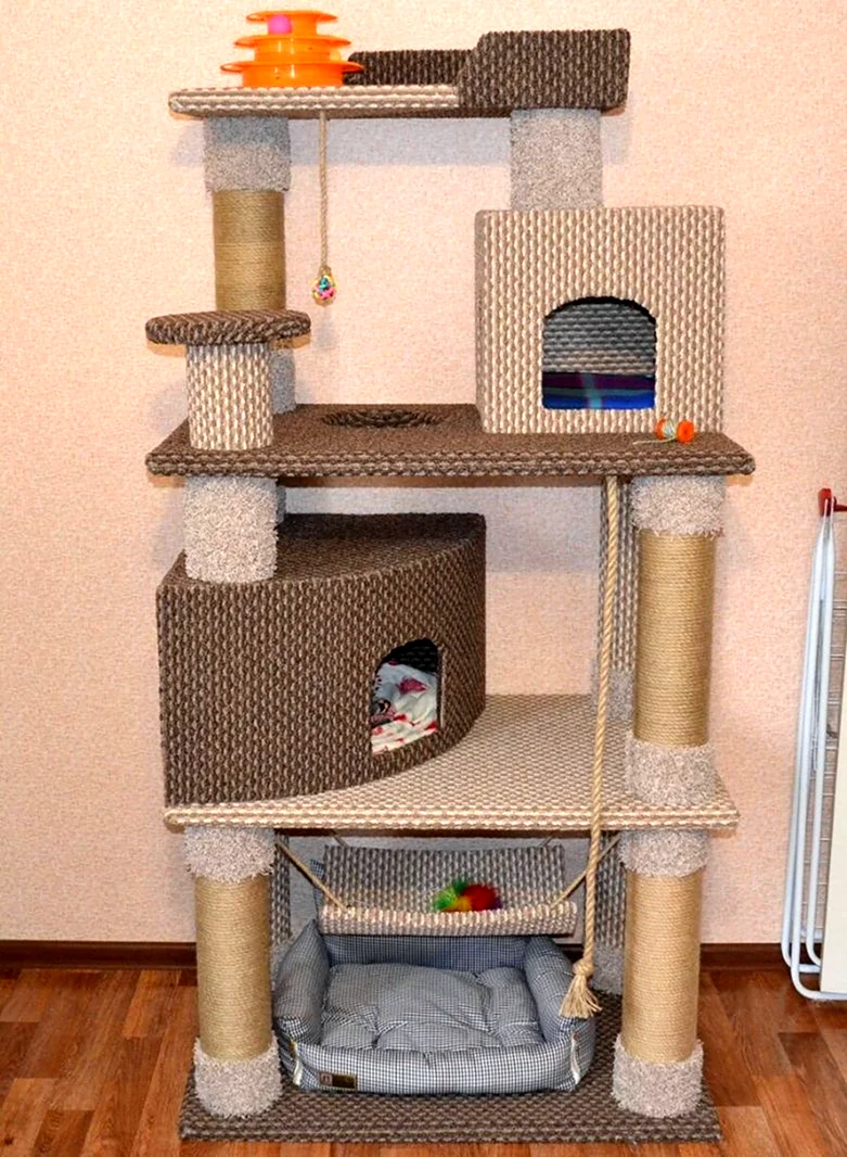 Котодом комплексы для кошек