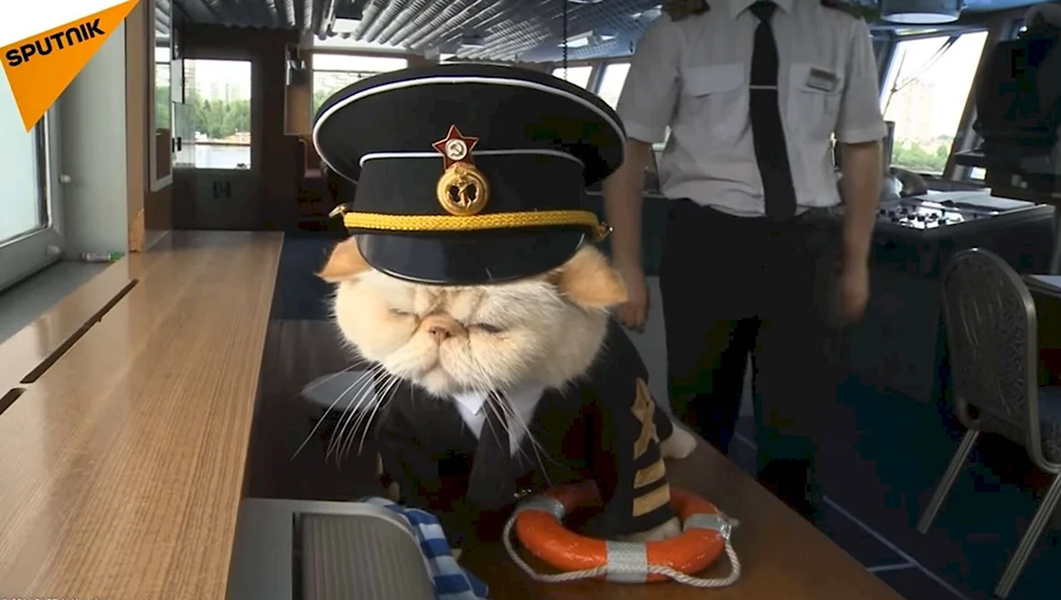 Коты матрос и Боцман