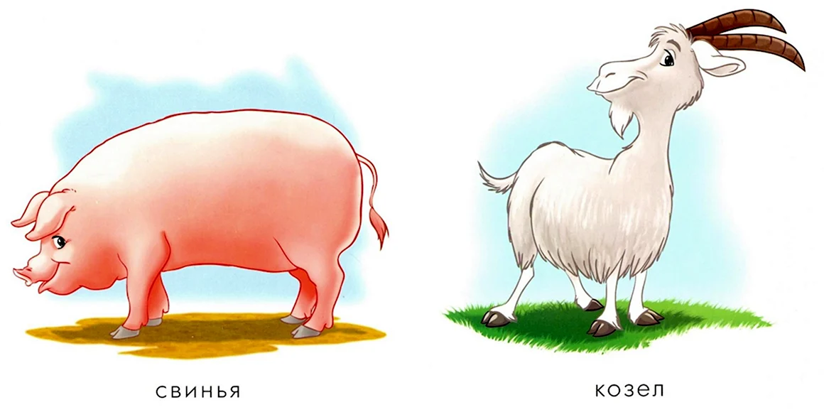 Коза и свинья