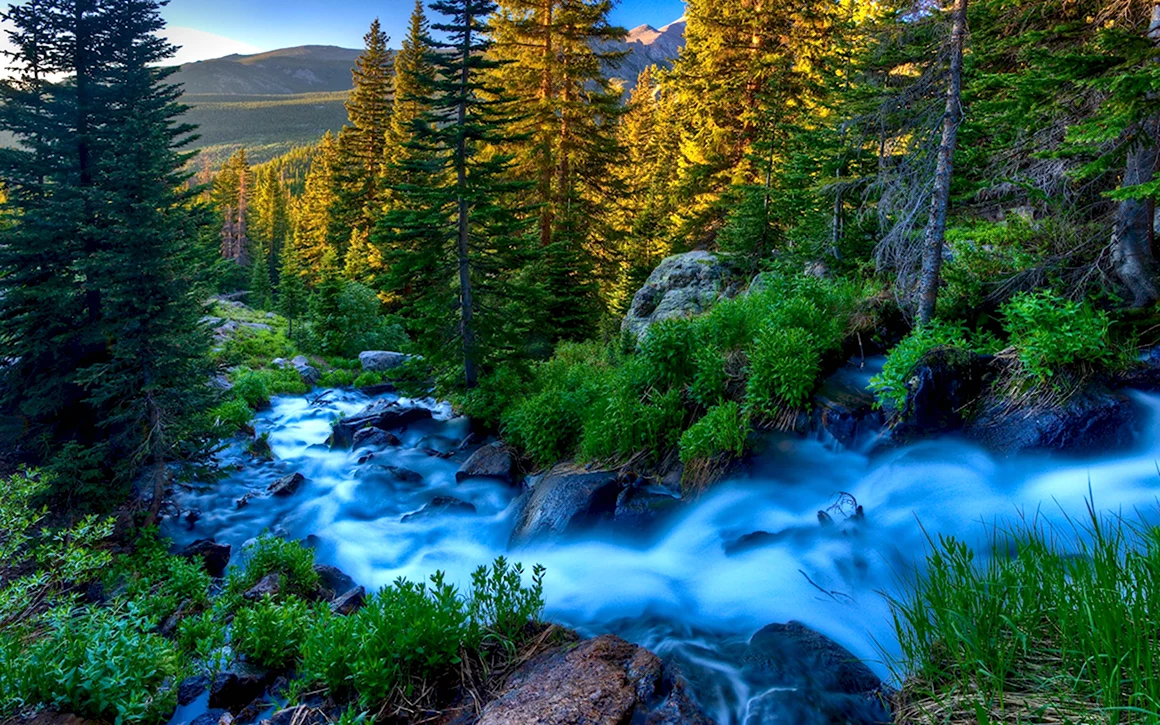 Красивая природа