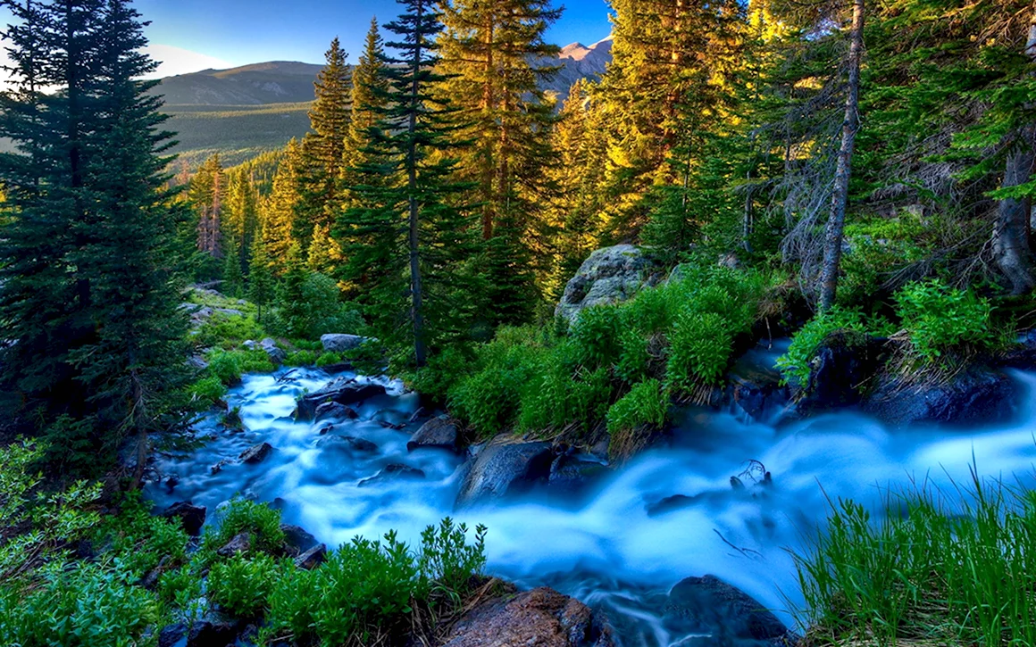Красивая природа