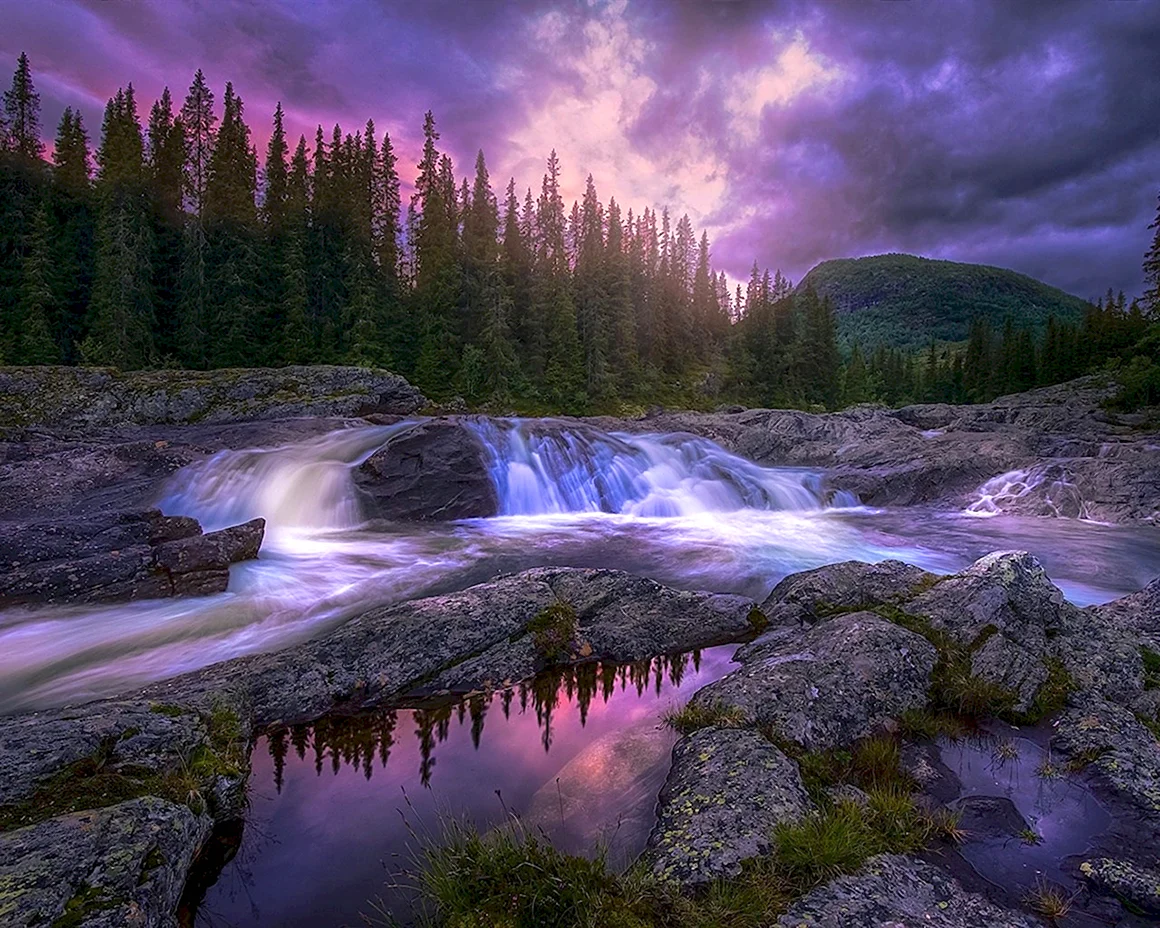 Красивая природа