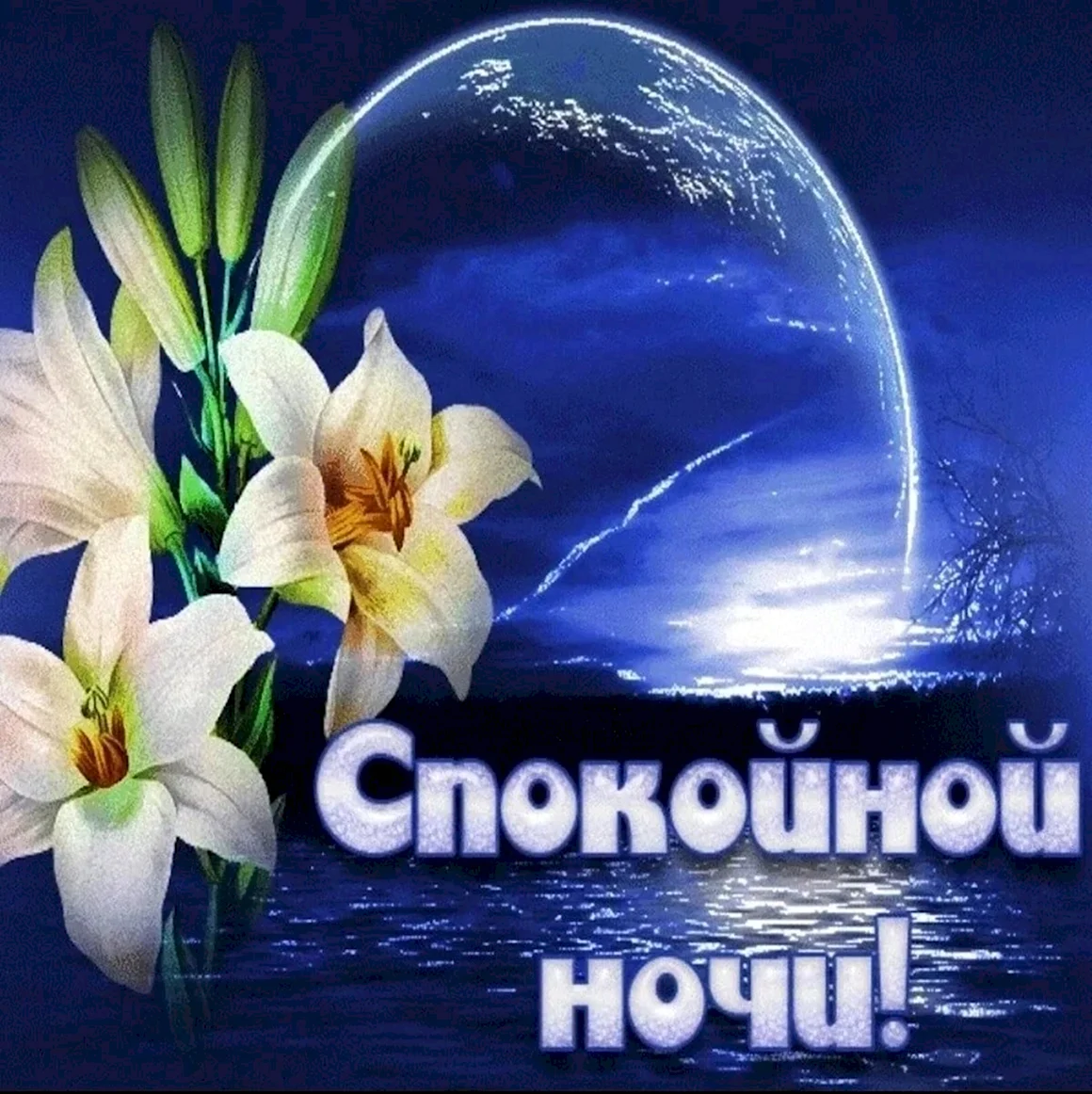 Красивые букеты с пожеланиями спокойной ночи